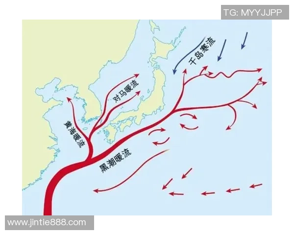 日本与沙特最新比赛数据分析及战绩对比详解